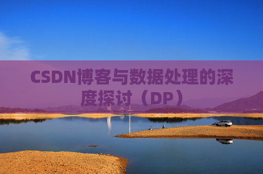 CSDN博客与数据处理的深度探讨（DP）